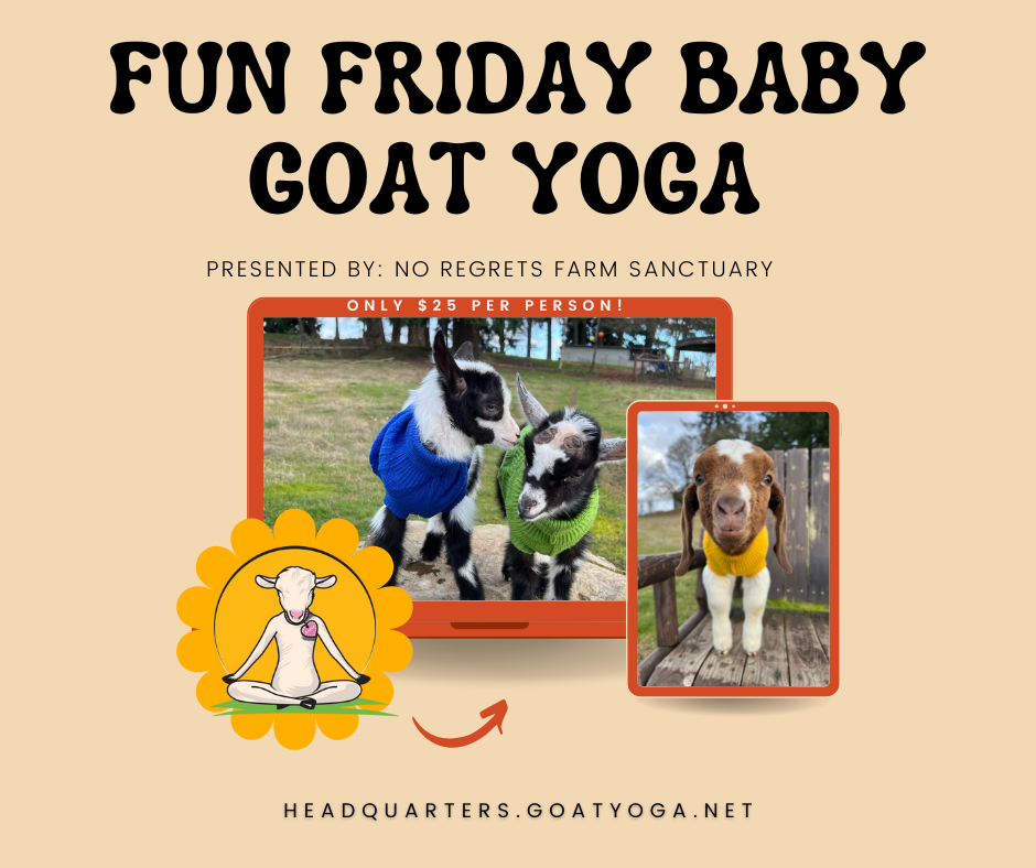 Friday Baby Goat Yoga