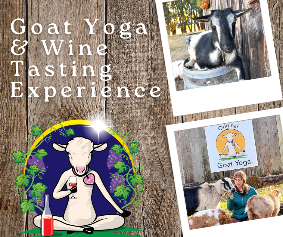 Goat Yoga & Wine Tasting